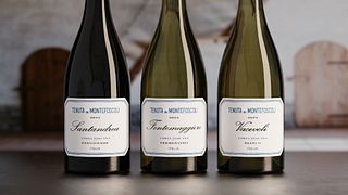 Simple Tasting at Tenuta di Montefoscoli