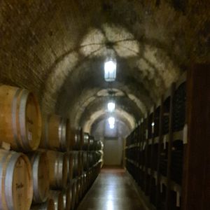 Altamente raccomandato 