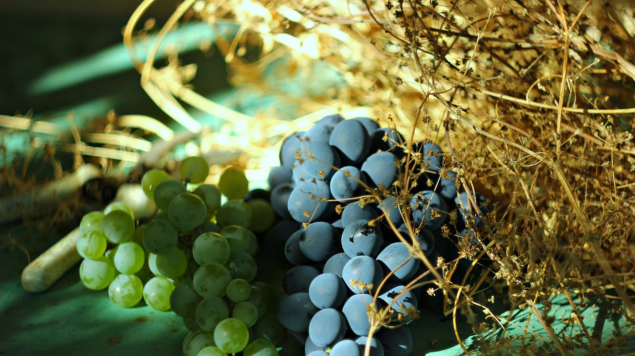 Capital antiga - Mtskheta e vinhos de Kartli, com almoço