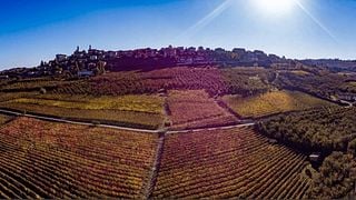 Stroll Piedmont Vineyards & Taste at Drocco Renzo