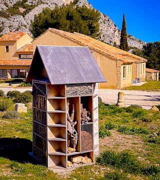 I borghi medievali di Les Baux de Provence, l'esperienza immersiva di Carrières de Lumière, la cultura di Saint Rémy de Provence, il cibo e l'olio d'oliva e i sapori dei vini Domaine de la Vallongue.