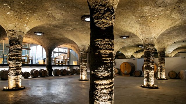 Degustação de vinhos Os Clássicos no Tenuta Di Castellaro