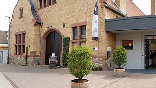 Winzer von Erbach eG