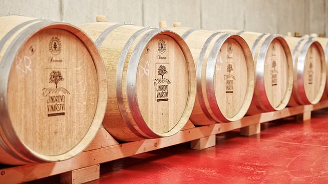 Degustazione di vini in cantina a Jindrovo Vinarstvi
