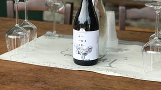 Visite complète des vins et dégustation au domaine viticole Tsikrikonis
