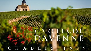 Visita e degustazione di vini Chablis al Domaine Clotilde Davenne in inglese