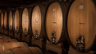 Roero-Weinprobe