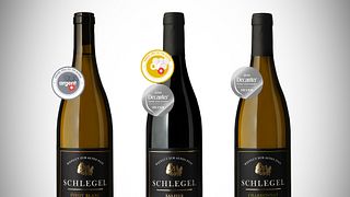 Dégustation de vins au Weingut zur alten Post