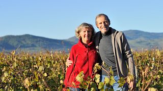 Cata de vinos y visita guiada al Domaine du Crêt de Bine