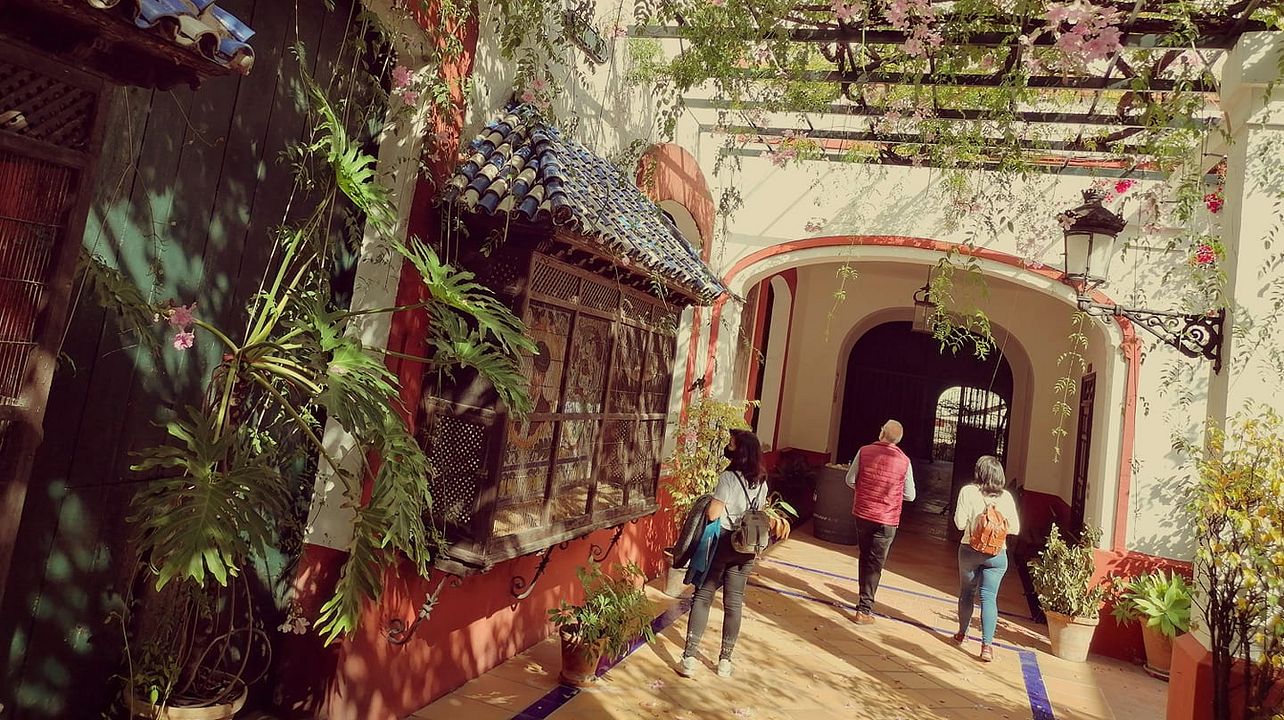 Degustazione di vini e visita alle Bodegas Hidalgo La Gitana