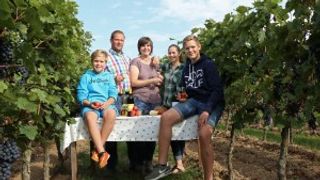 Cata de vinos y visita guiada en Weingut Thomas Bischmann