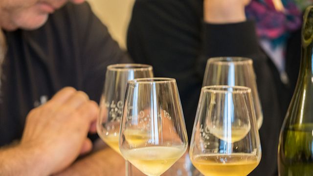 Expérience authentique des vins des Cinque Terre