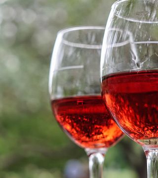 Trani Wine Tours: Flavors of Puglia