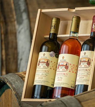 Degustazione di vini con snack leggeri e tour alla tenuta Theotoky