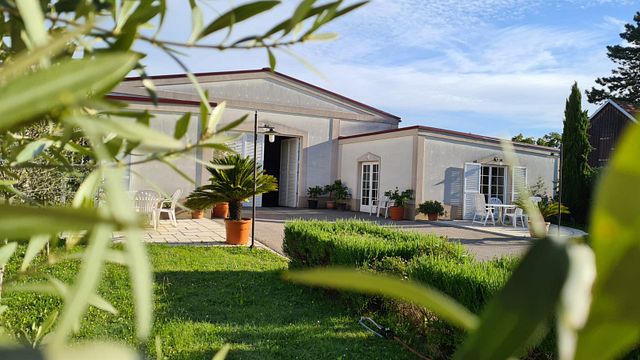 Degustação de vinhos, tour e queijos | Wandraschek Weinmanufaktur