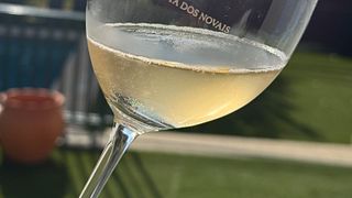 Visita e degustazione di vini al vigneto biologico Quinta dos Novais