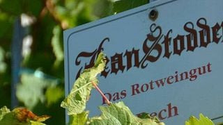 Degustazione di vini presso l'azienda vinicola Jean Stodden