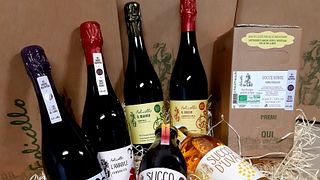 Degustação de vinhos e tour na Folicello Società Agricola