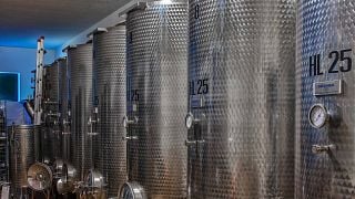Zorzon Winery