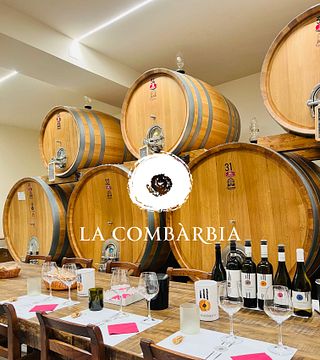 Emocionante visita privada à adega com o produtor e degustação de 4 vinhos, incluindo Vino Nobile DOCG