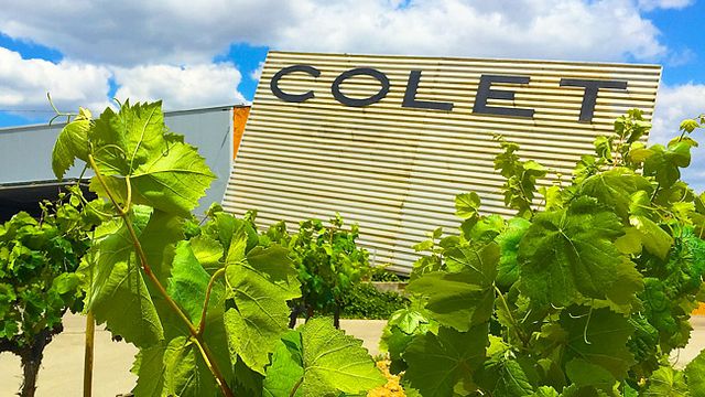 Colet Winery