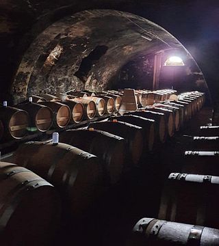 Degustazione di vini e visita al Domaine De Maison Blanche