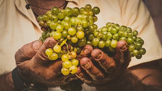 Crete Wine Discovery: Titakis Tasting Journey