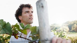 Degustação de vinhos e tour no Weingut Axel Schmitt