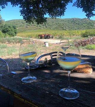 Degustação de vinhos e tour em Colline Del Vento