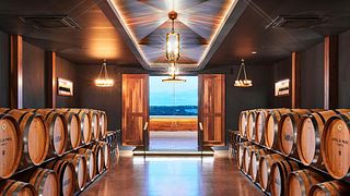 Degustazione privata di vini con formaggi e salumi presso Amelia Park Wines