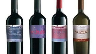 Degustação de vinhos e tour em Michele Laluce