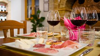 Marche Vineyard Tour & Wine Tasting at Cantina D'Erasmo