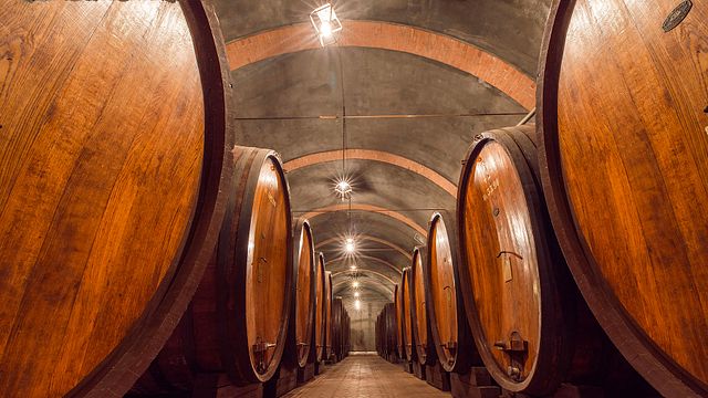 Visita guiada y degustación de vinos "El Monferrato" en la Bodega Bersano