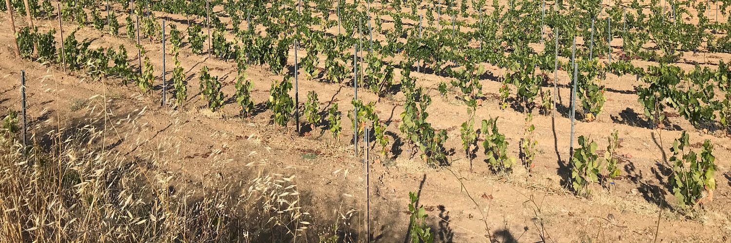 Celler Gritelles - VEDRENYES PANORAMICA
