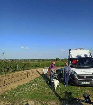 Zinzani Vini: A Family Tradition in Winemaking