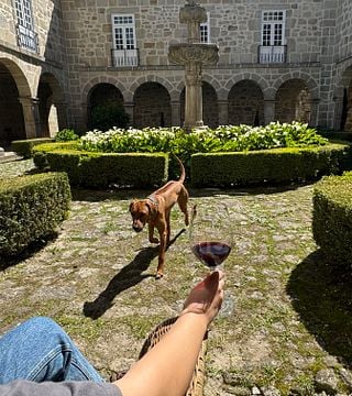 Visite et dégustation au domaine viticole Kranemann