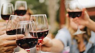 Wine Tour presso Casa Romana Vini con 3 Degustazioni di Vini e Abbinamenti Gourmet