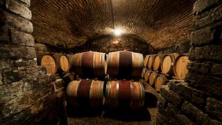 Wine Tasting and Tour at Poderi Gianni Gagliardo