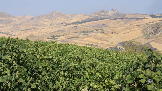 Tasting at Baronia della Pietra