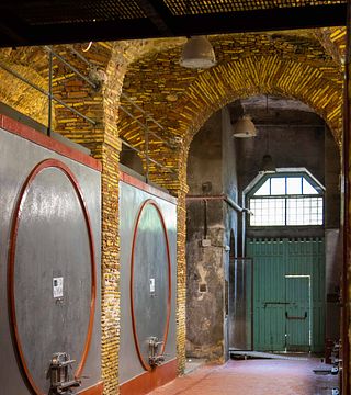 Visita à vinícola, aula de culinária, degustação de vinhos e almoço.
