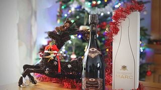 Champagne Vineyard Tour & Sparkling Tasting Delight