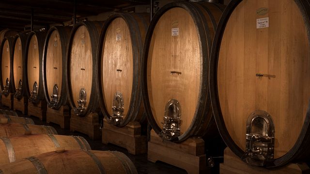 Dégustation d'Alta Langa (Vins mousseux selon la méthode traditionnelle)