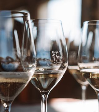 Tour pela vinícola + degustação avançada de vinhos e Pečâl