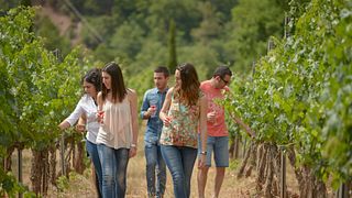 À la découverte des vins d'Abadal