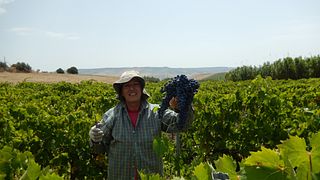Weinprobe mit gastronomischem Erlebnis bei Leonarda zu Hause
