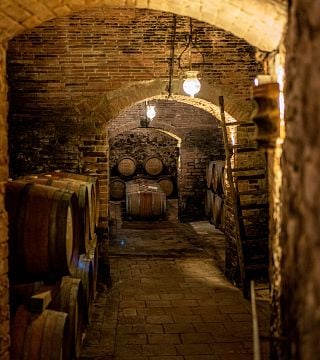 Vinprovning och rundtur på Fattoria Poggio Capponi
