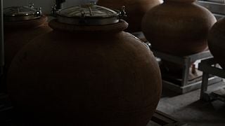 Dégustation de vins exclusive chez Cirelli Wines