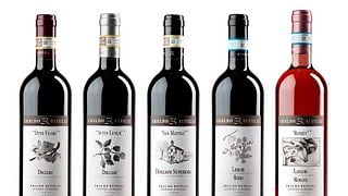 Degustação de vinhos e tour em Eraldo Revelli