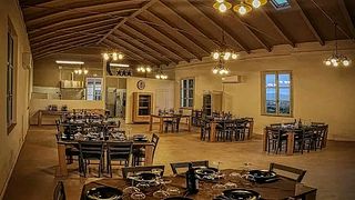 Tuscan Organic Wine & Oil Farm Tasting