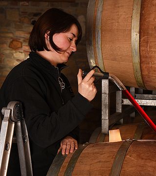 Broccardo Winery